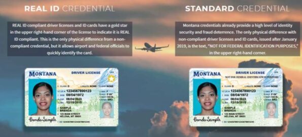Why Buy High Resolution Real Driver License Why Buy High Resolution Real Driver License