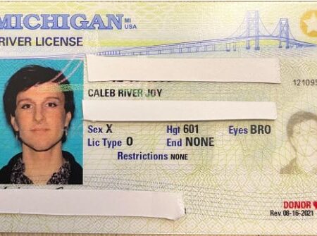 Michigan ID Card