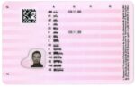 Sweden Driving Licence