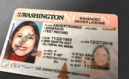 Buy Real and Fake Passport Buy Washington Driver's License and ID Card